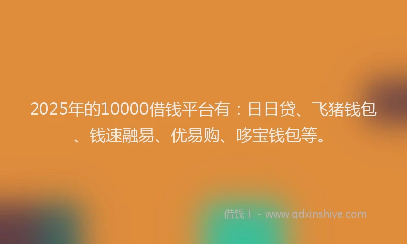 2025年的10000借钱平台有：日日贷、飞猪钱包、钱速融易、优易购、哆宝钱包等。
