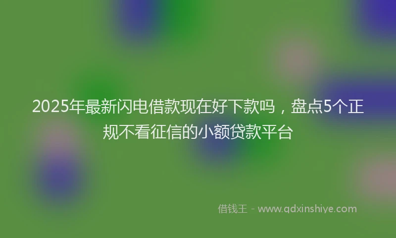 2025年最新闪电借款现在好下款吗，盘点5个正规不看征信的小额贷款平台