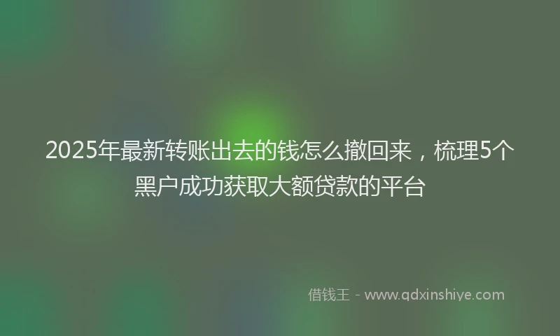 2025年最新转账出去的钱怎么撤回来，梳理5个黑户成功获取大额贷款的平台