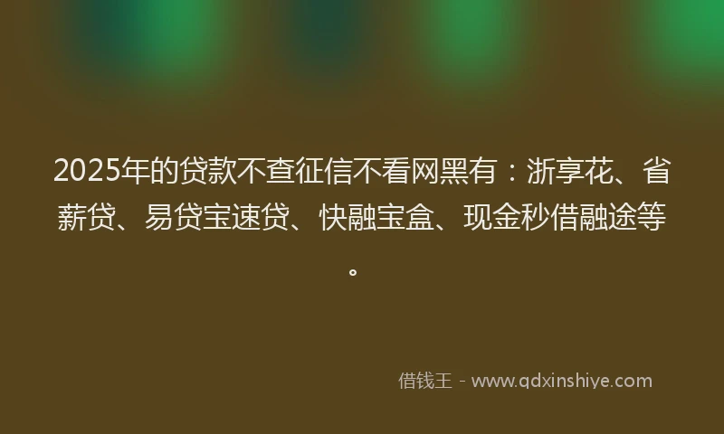 2025年的贷款不查征信不看网黑有：浙享花、省薪贷、易贷宝速贷、快融宝盒、现金秒借融途等。