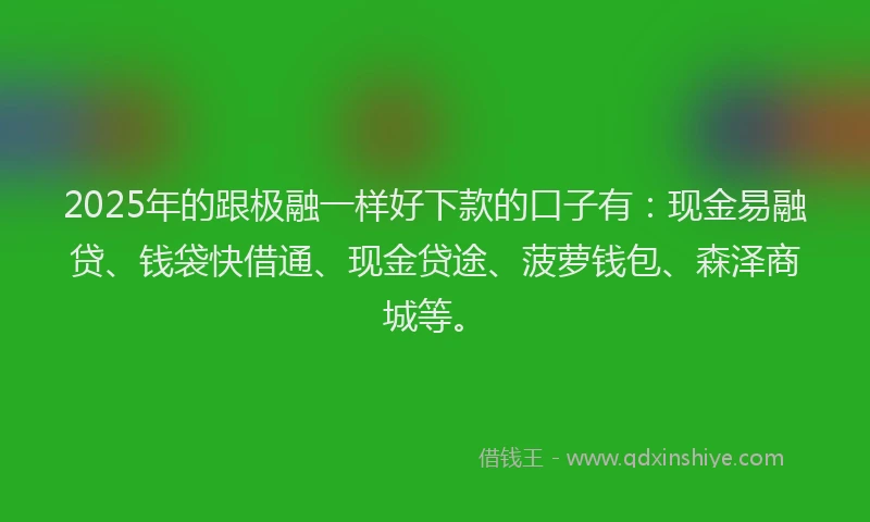 2025年的跟极融一样好下款的口子有：现金易融贷、钱袋快借通、现金贷途、菠萝钱包、森泽商城等。