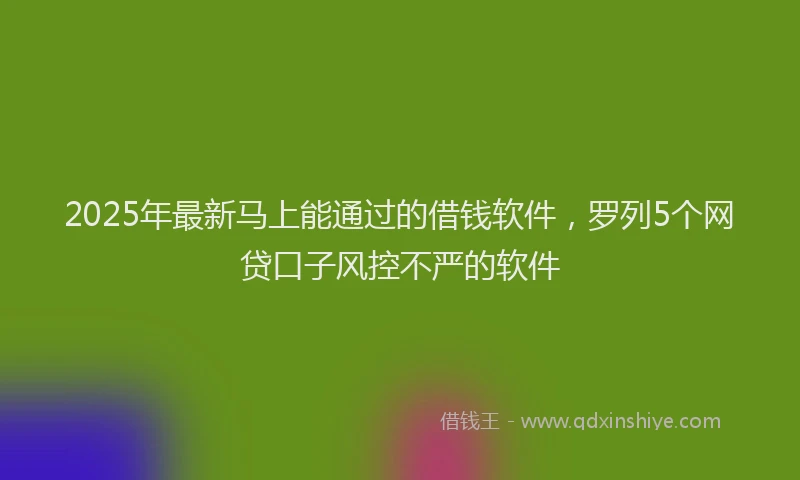 2025年最新马上能通过的借钱软件，罗列5个网贷口子风控不严的软件