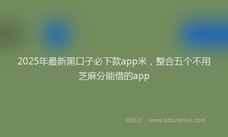 2025年最新黑口子必下款app米，整合五个不用芝麻分能借的app