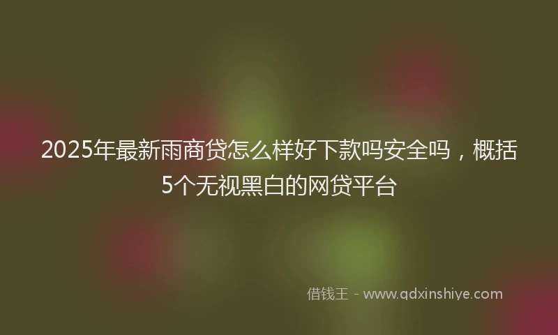 2025年最新雨商贷怎么样好下款吗安全吗，概括5个无视黑白的网贷平台