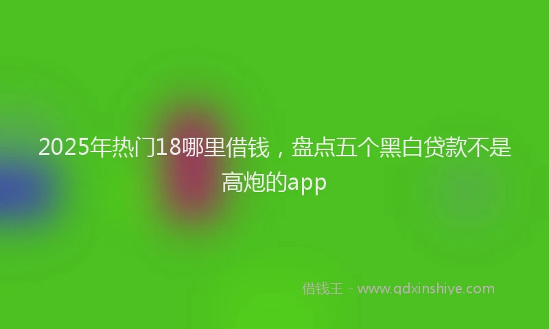 2025年热门18哪里借钱，盘点五个黑白贷款不是高炮的app