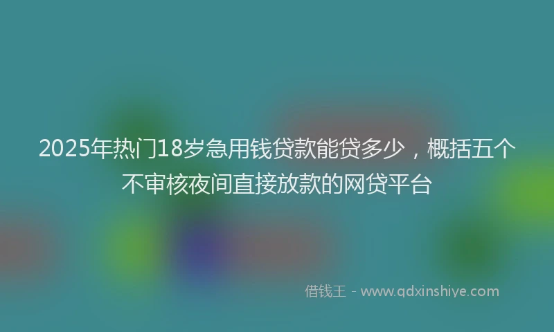 2025年热门18岁急用钱贷款能贷多少，概括五个不审核夜间直接放款的网贷平台