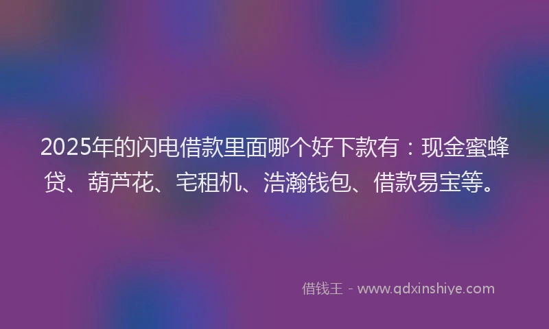 2025年的闪电借款里面哪个好下款有：现金蜜蜂贷、葫芦花、宅租机、浩瀚钱包、借款易宝等。