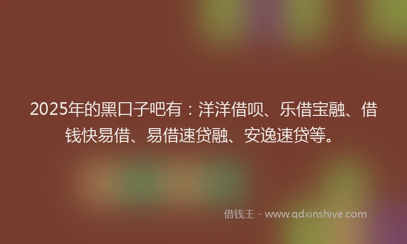 2025年的黑口子吧有：洋洋借呗、乐借宝融、借钱快易借、易借速贷融、安逸速贷等。