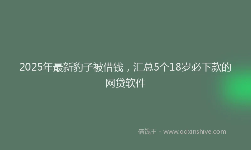 2025年最新豹子被借钱，汇总5个18岁必下款的网贷软件
