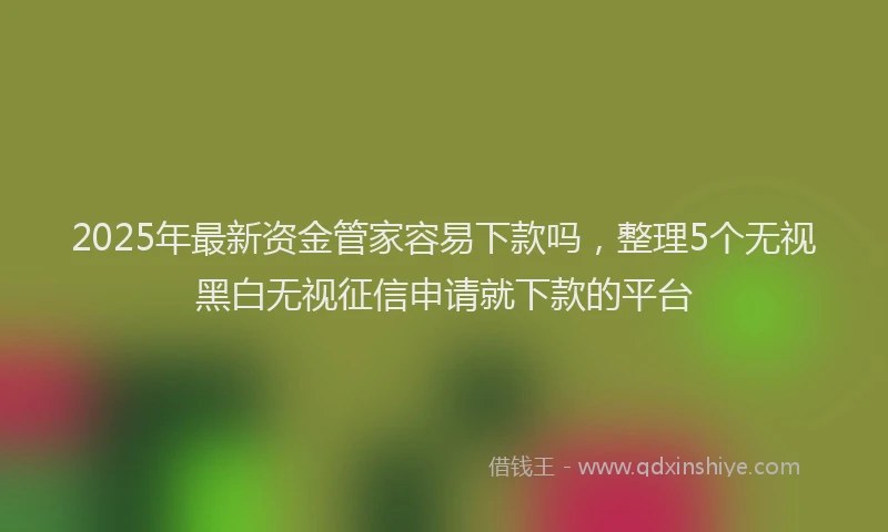 2025年最新资金管家容易下款吗，整理5个无视黑白无视征信申请就下款的平台
