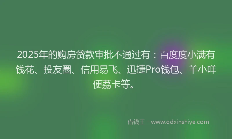 2025年的购房贷款审批不通过有：百度度小满有钱花、投友圈、信用易飞、迅捷Pro钱包、羊小咩便荔卡等。