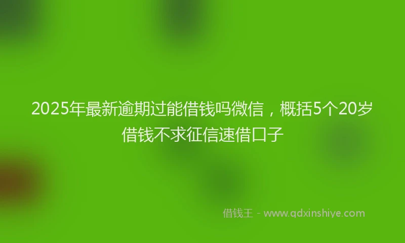 2025年最新逾期过能借钱吗微信，概括5个20岁借钱不求征信速借口子