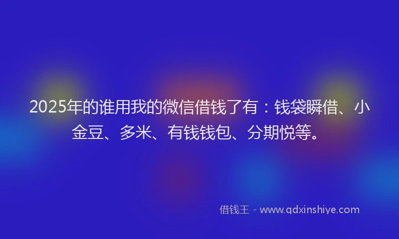 2025年的谁用我的微信借钱了有：钱袋瞬借、小金豆、多米、有钱钱包、分期悦等。