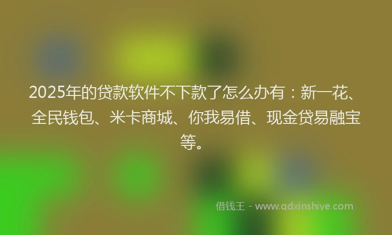 2025年的贷款软件不下款了怎么办有：新一花、全民钱包、米卡商城、你我易借、现金贷易融宝等。