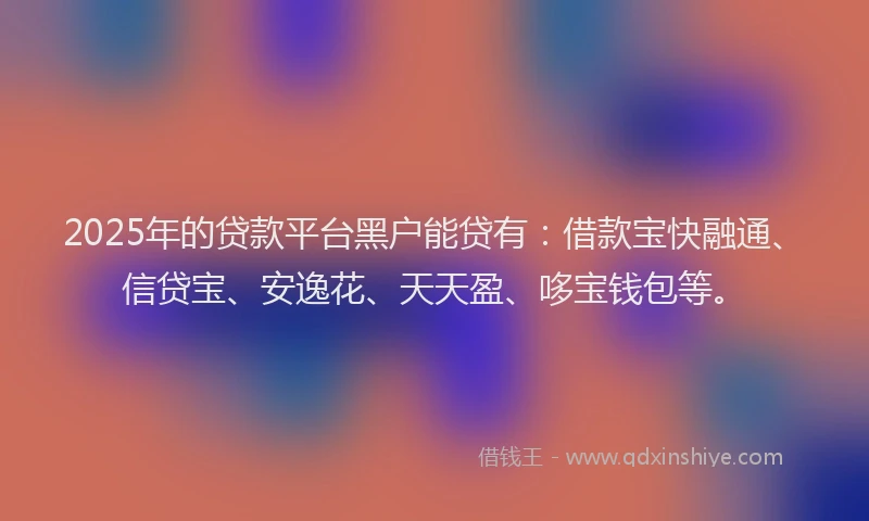 2025年的贷款平台黑户能贷有：借款宝快融通、信贷宝、安逸花、天天盈、哆宝钱包等。