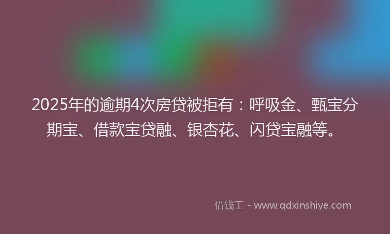 2025年的逾期4次房贷被拒有：呼吸金、甄宝分期宝、借款宝贷融、银杏花、闪贷宝融等。