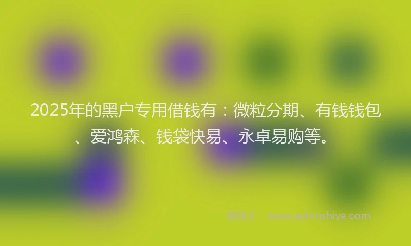 2025年的黑户专用借钱有：微粒分期、有钱钱包、爱鸿森、钱袋快易、永卓易购等。