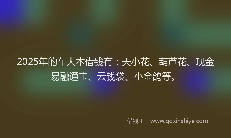 2025年的车大本借钱有：天小花、葫芦花、现金易融通宝、云钱袋、小金鸽等。