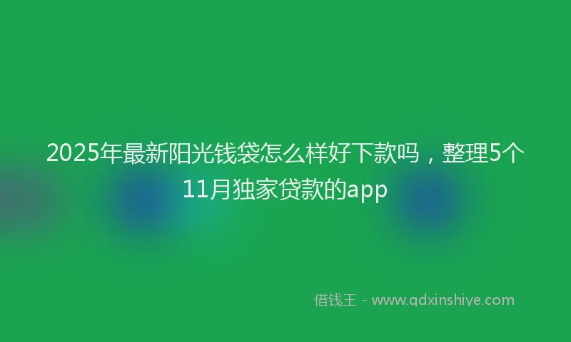2025年最新阳光钱袋怎么样好下款吗，整理5个11月独家贷款的app