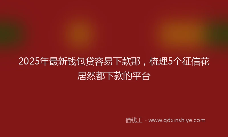 2025年最新钱包贷容易下款那，梳理5个征信花居然都下款的平台