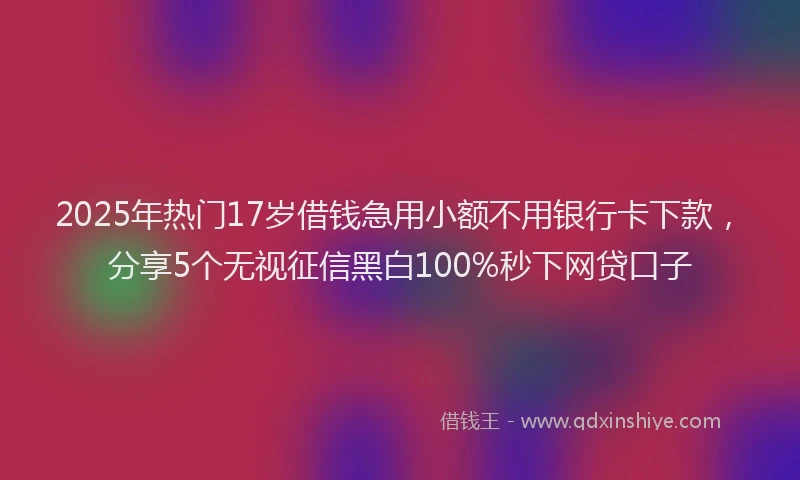 2025年热门17岁借钱急用小额不用银行卡下款，分享5个无视征信黑白100%秒下网贷口子