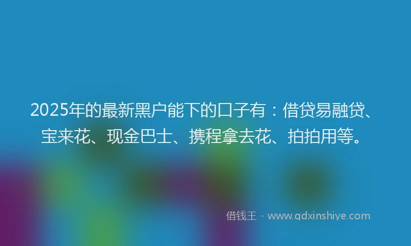 2025年的最新黑户能下的口子有：借贷易融贷、宝来花、现金巴士、携程拿去花、拍拍用等。