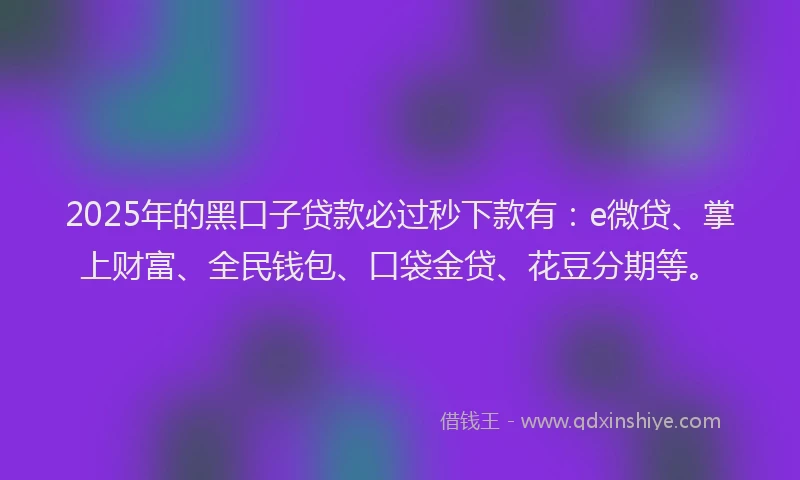 2025年的黑口子贷款必过秒下款有：e微贷、掌上财富、全民钱包、口袋金贷、花豆分期等。