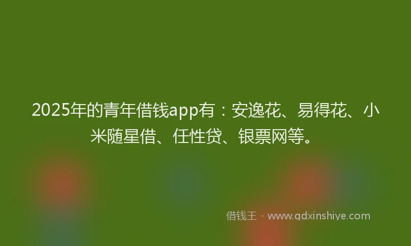 2025年的青年借钱app有：安逸花、易得花、小米随星借、任性贷、银票网等。