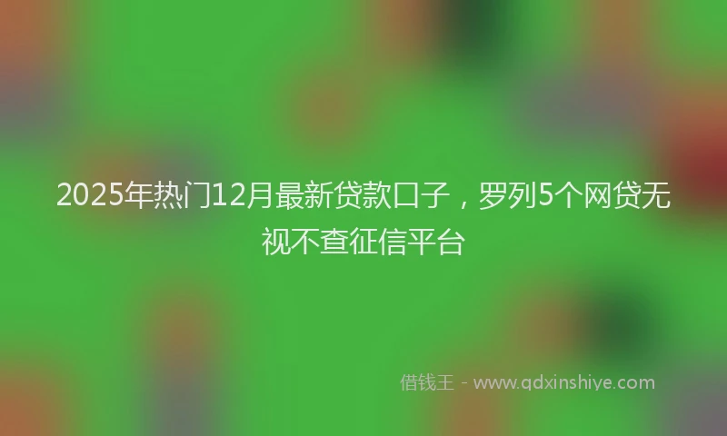 2025年热门12月最新贷款口子，罗列5个网贷无视不查征信平台