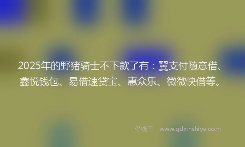 2025年的野猪骑士不下款了有：翼支付随意借、鑫悦钱包、易借速贷宝、惠众乐、微微快借等。