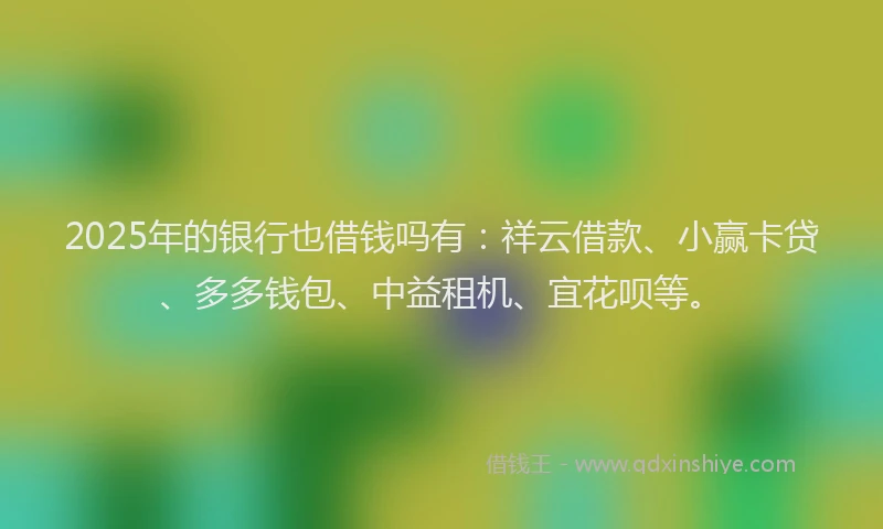 2025年的银行也借钱吗有：祥云借款、小赢卡贷、多多钱包、中益租机、宜花呗等。