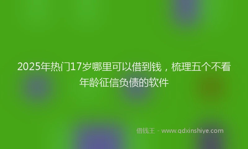 2025年热门17岁哪里可以借到钱，梳理五个不看年龄征信负债的软件