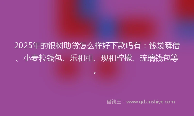 2025年的银树助贷怎么样好下款吗有：钱袋瞬借、小麦粒钱包、乐租租、现租柠檬、琉璃钱包等。