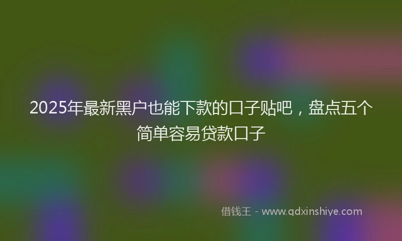 2025年最新黑户也能下款的口子贴吧，盘点五个简单容易贷款口子