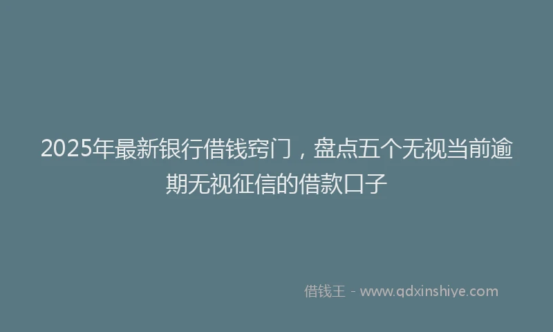 2025年最新银行借钱窍门，盘点五个无视当前逾期无视征信的借款口子