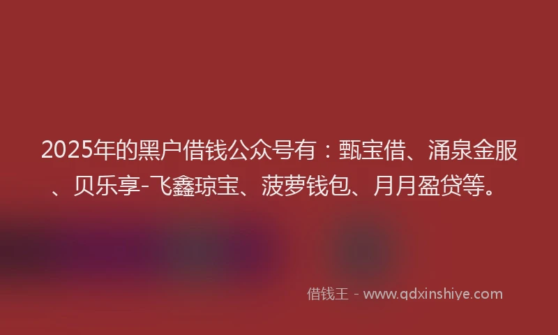 2025年的黑户借钱公众号有：甄宝借、涌泉金服、贝乐享-飞鑫琼宝、菠萝钱包、月月盈贷等。