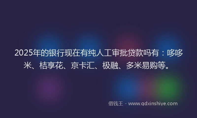 2025年的银行现在有纯人工审批贷款吗有：哆哆米、桔享花、京卡汇、极融、多米易购等。