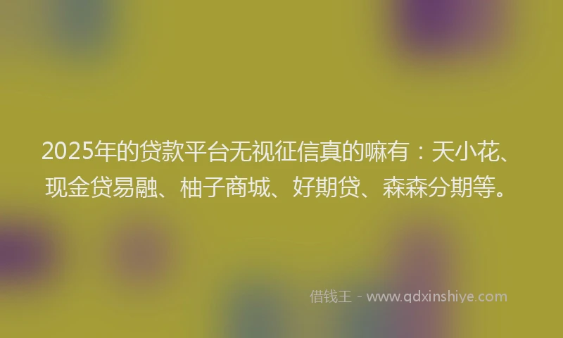 2025年的贷款平台无视征信真的嘛有：天小花、现金贷易融、柚子商城、好期贷、森森分期等。