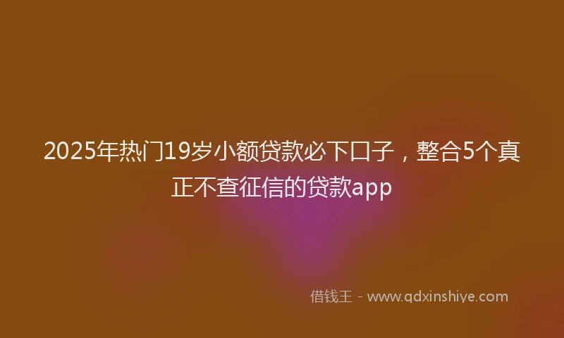 2025年热门19岁小额贷款必下口子，整合5个真正不查征信的贷款app