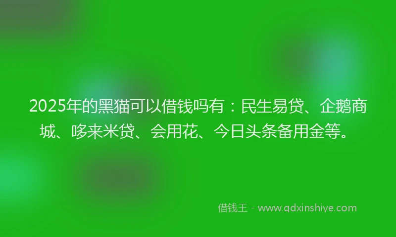 2025年的黑猫可以借钱吗有：民生易贷、企鹅商城、哆来米贷、会用花、今日头条备用金等。