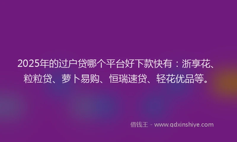 2025年的过户贷哪个平台好下款快有：浙享花、粒粒贷、萝卜易购、恒瑞速贷、轻花优品等。