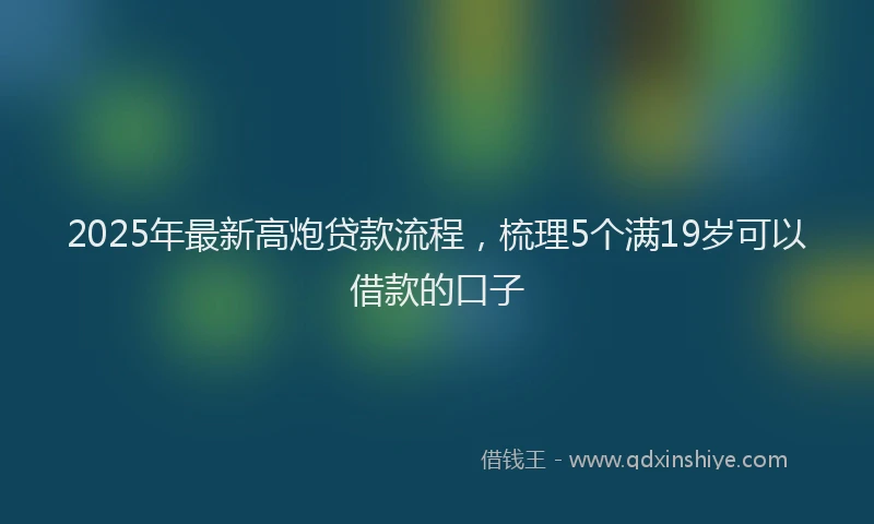 2025年最新高炮贷款流程，梳理5个满19岁可以借款的口子