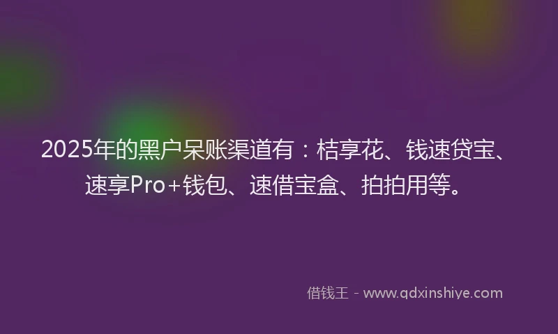 2025年的黑户呆账渠道有：桔享花、钱速贷宝、速享Pro+钱包、速借宝盒、拍拍用等。