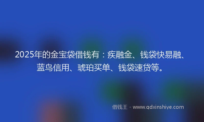 2025年的金宝袋借钱有：疾融金、钱袋快易融、蓝鸟信用、琥珀买单、钱袋速贷等。