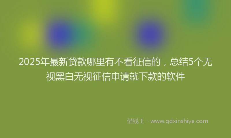 2025年最新贷款哪里有不看征信的，总结5个无视黑白无视征信申请就下款的软件