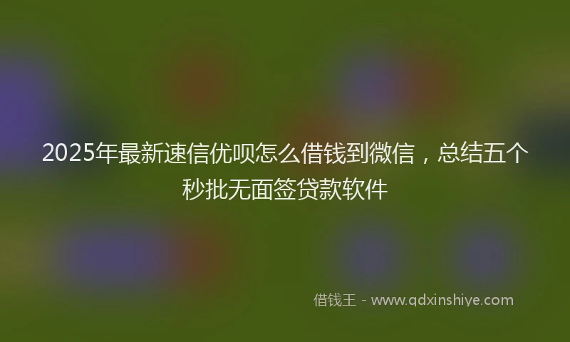 2025年最新速信优呗怎么借钱到微信，总结五个秒批无面签贷款软件
