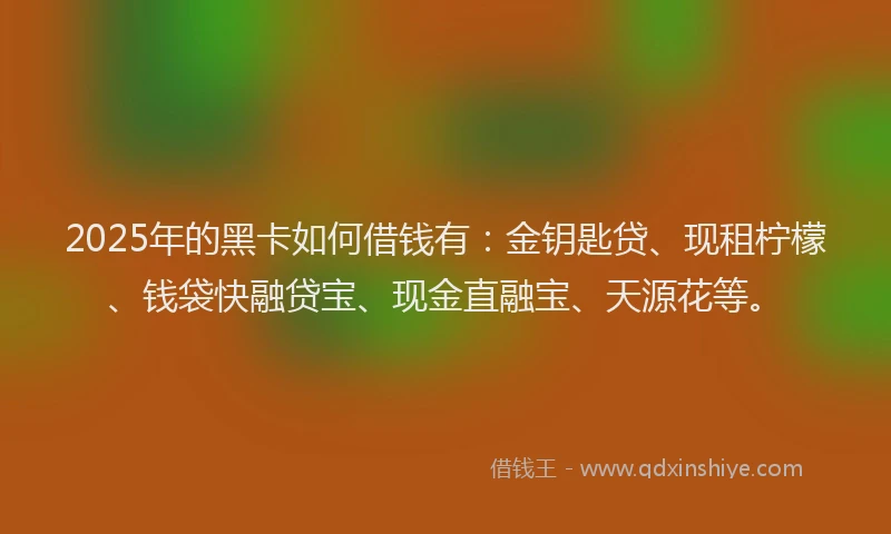 2025年的黑卡如何借钱有：金钥匙贷、现租柠檬、钱袋快融贷宝、现金直融宝、天源花等。