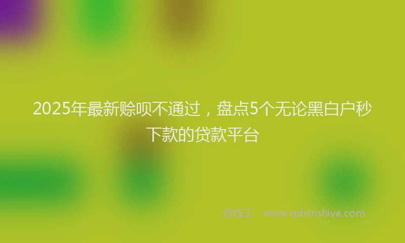 2025年最新赊呗不通过，盘点5个无论黑白户秒下款的贷款平台