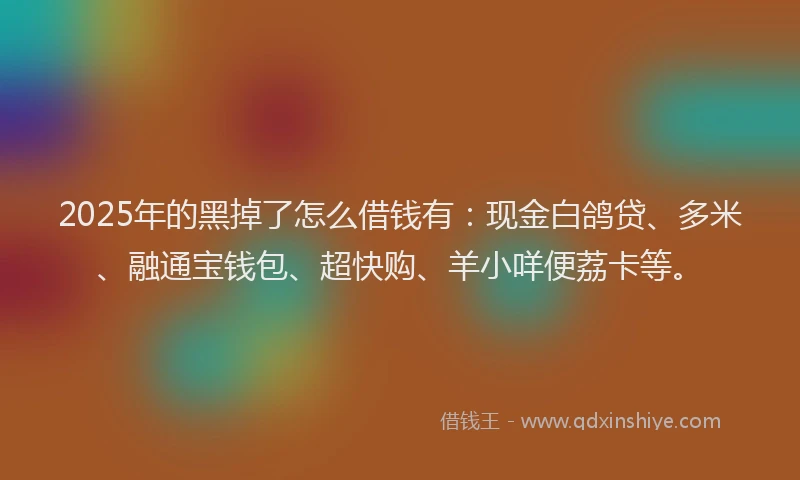2025年的黑掉了怎么借钱有：现金白鸽贷、多米、融通宝钱包、超快购、羊小咩便荔卡等。