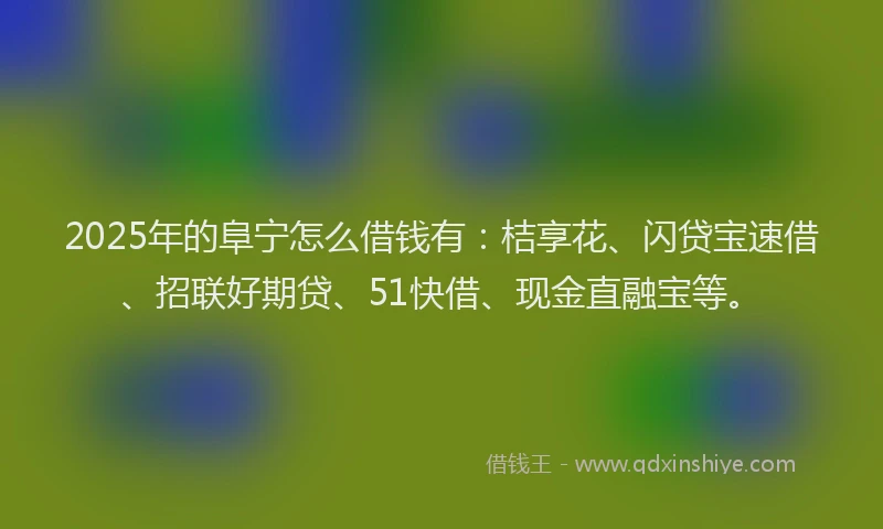 2025年的阜宁怎么借钱有：桔享花、闪贷宝速借、招联好期贷、51快借、现金直融宝等。